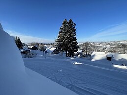 Benecko Lbs160 in Benecko