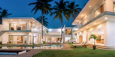 Luxury Palms