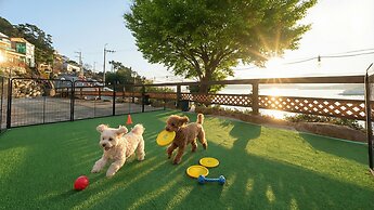 Geoje Sunbeachoceanview Dog Pension