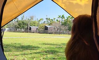 Glamp Wilderness
