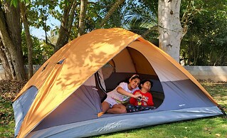 Glamp Wilderness