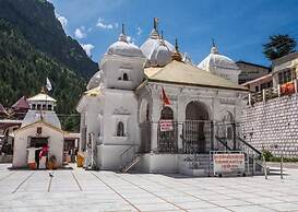 Grand Auli Camp