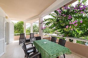 Cozy Apartment Branka With Nice Garden 6