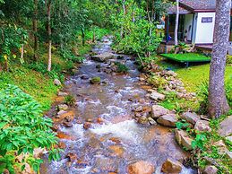 Pangthara65 Chiang Mai