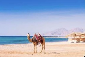 Beautiful Villa With Pool in Hurghada
