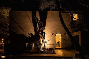 CASA DOM by HOLT
