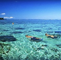 VatuVonu