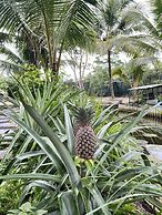 Gò Chanh Homestay
