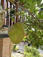 Gò Chanh Homestay