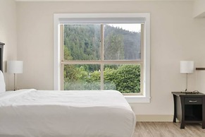 Harrison Lake Pets Welcome 3BR Suite