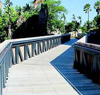 101 Nine palms