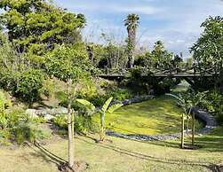 101 Nine palms