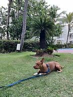 Sol Caribe Beach Group
