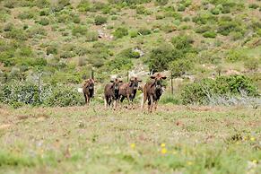 Bon Game Reserve