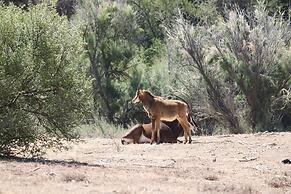 Bon Game Reserve