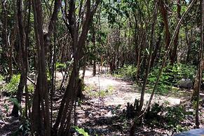 Tulum Nueve
