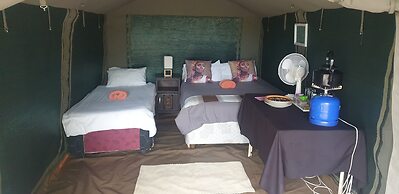 Paradise Camp