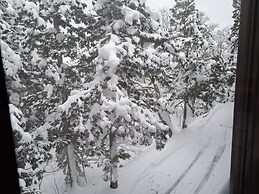 Daisen Basecamp