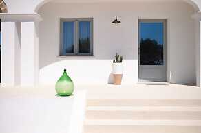 Stunning Villa Surrounded by Olive Trees - Beahost