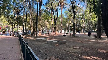 Condesa Residence Campeche 276