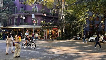 Condesa Residence Campeche 276