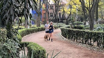 Condesa Residence Campeche 276