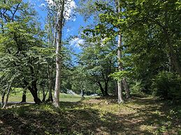 WHITE HOTEL GRAND HAKUBA