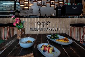 HOTEL BOUTIQUE CASONA 65