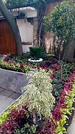 Terraza & Loft San Ángel
