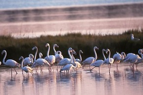 Experience Comfort by the Coast-beahost Rentals