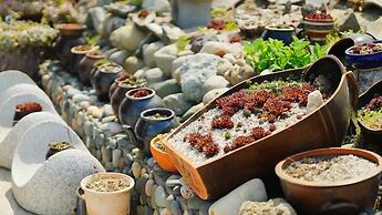 pohang sea scent