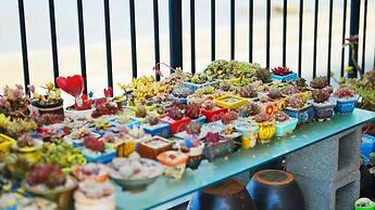 pohang sea scent