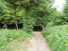 Dale View