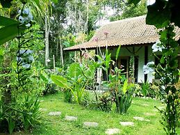 Jungle House - surf & stay
