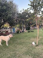 Bodrummasalicamping