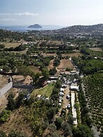 Bodrummasalicamping
