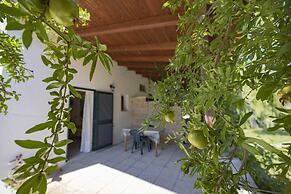 AGRITURISMO LE TAGLIATE