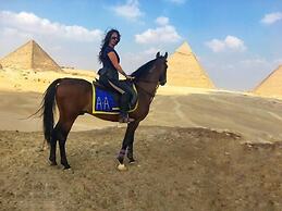 Narmer Pyramids View