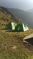 Triund Trek and Camping