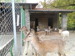 Lago Maggiore Holiday House