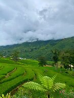 MT House Sa Pa