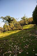 All Seasons Guest House