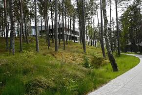 Art Forrest 33 K in Rogowo