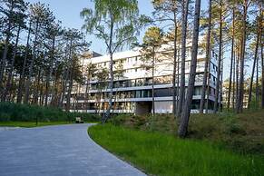 Art Forrest 33 K in Rogowo