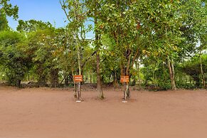 Lemon Tree Wildlife Resort Kanha