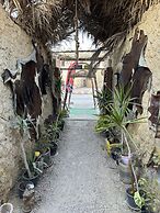 Muhra Camp Siwa