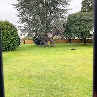Southlands B&B