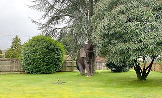 Southlands B&B