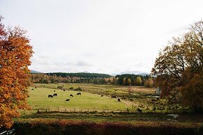 The Dell of Abernethy