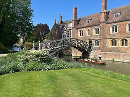 Orchid House in Cambridge